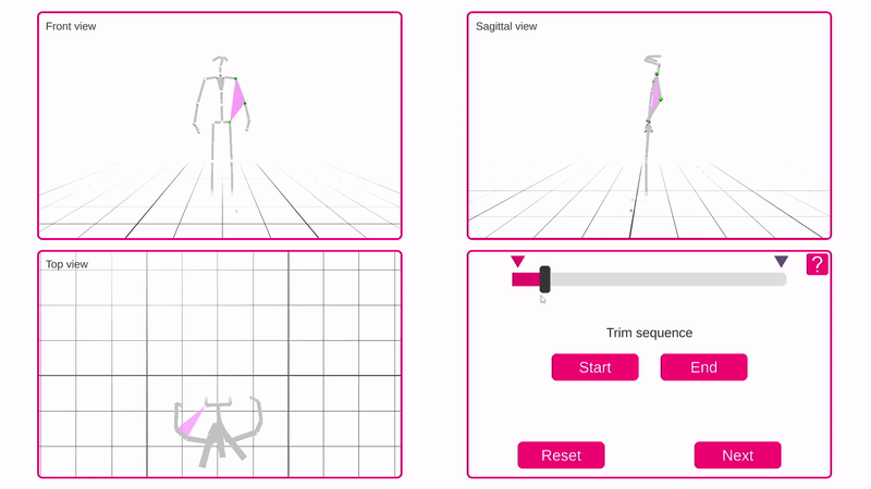 Research interface with motion-analysis visualization